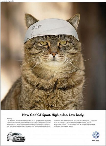 Реклама з кішками - сайт - фото приколи онлайн, безкоштовні відео, ігри та дівчата