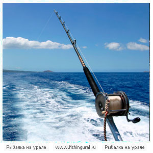Pescuitul pe Marea Adriatică