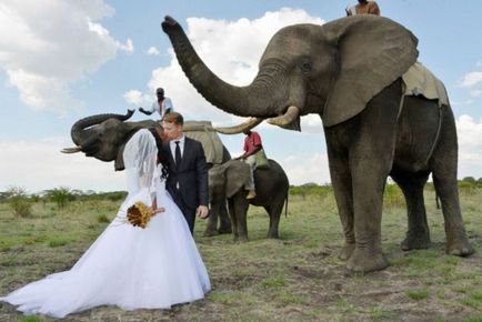 Ru nunta pe un safari african - terraoko - lumea cu ochii tai