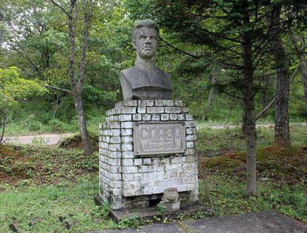 Сергій лазо біографія, історія та сім'я