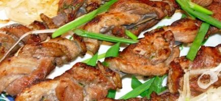 Shish kebab din carne de porc în shashlik electrice