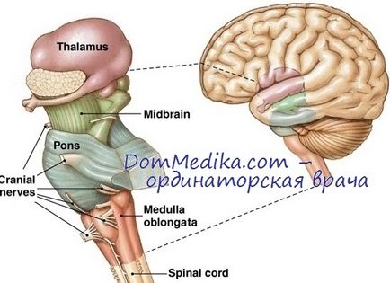 Sindroamele de înfrângere ale clinicii talamice, diagnostic