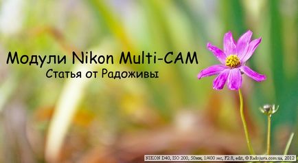 Sisteme de focalizare pe camerele nikon - fotograful Ilya Rifman