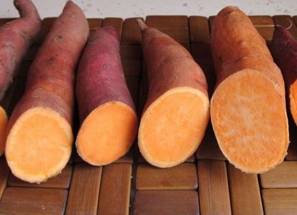 Cartofi dulci yam - cultivarea, plantarea, reproducerea