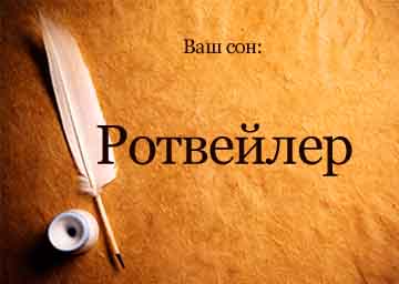 Сонник ротвейлер чорний злий бачити уві сні до чого сниться