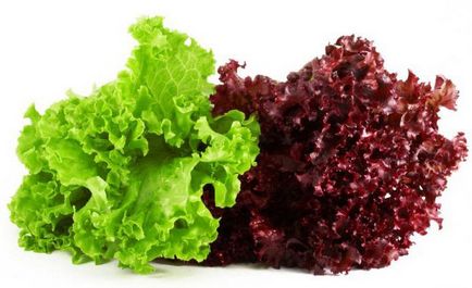 Varietăți de varietăți și descrieri de salate