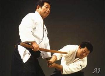 Stiluri de aikido ivama-ryu