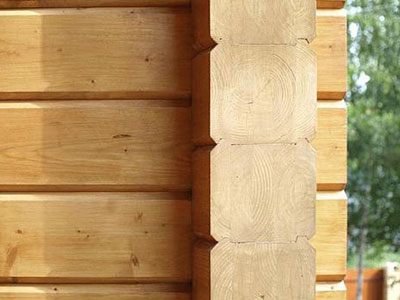 Constructii de case din lemn la cheie, realizarea de proiecte de bai din busteni