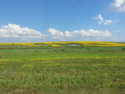 Бабаковий жир купити, натуральні продукти з сибіру