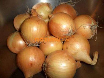 Szárítás hagyma - recept fotókkal a telet a szárító (fotó) Szárítás hagyma - recept fényképek a telet a szárító