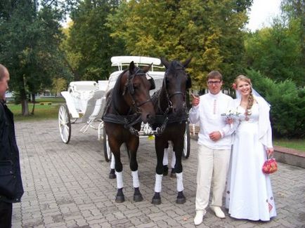 Esküvői lovaglás - helyszínen a lovak