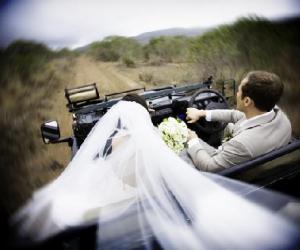 Nunta in stil - safari african, agentie de nunta - anna fox - g