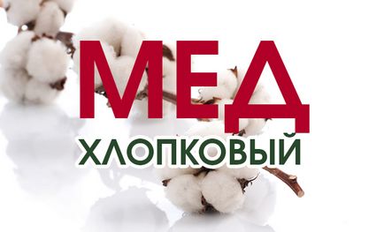 Tulajdonságok, használatát és hatásait pamut méz (pamut) Tulajdonságok, használatának és üzemeltetésének pamut méz