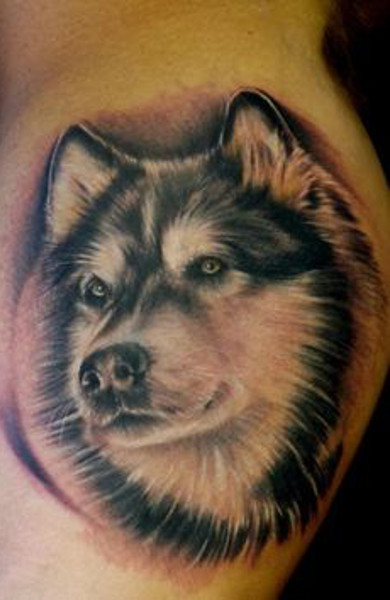 Tatuaj Husky - înțeles, schițe pentru tatuaje și fotografii