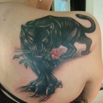 Puma Tattoo