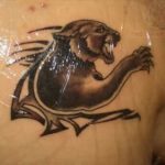 Tattoo puma fontos a lányok és a fiúk, fotók, vázlatok tetoválás puma