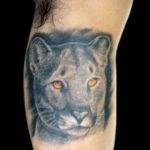 Tattoo puma fontos a lányok és a fiúk, fotók, vázlatok tetoválás puma