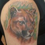 Tattoo puma fontos a lányok és a fiúk, fotók, vázlatok tetoválás puma