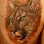 Tattoo puma fontos a lányok és a fiúk, fotók, vázlatok tetoválás puma