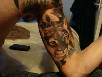 Tattoo puma fontos a lányok és a fiúk, fotók, vázlatok tetoválás puma