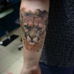 Puma tatuaj sensul pentru fete și băieți, fotografii, schițe de tatuaj cu puma