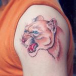 Tattoo puma fontos a lányok és a fiúk, fotók, vázlatok tetoválás puma