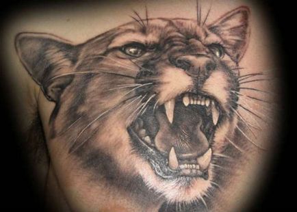 Puma tatuaj sensul pentru fete și băieți, fotografii, schițe de tatuaj cu puma