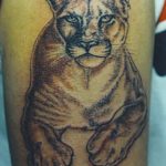 Puma tatuaj sensul pentru fete și băieți, fotografii, schițe de tatuaj cu puma