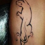 Tattoo puma fontos a lányok és a fiúk, fotók, vázlatok tetoválás puma