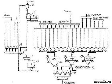 Tehnologia de producere a furajelor mixte