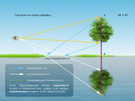 Punctul de coborâre nu poate fi schimbat sau cum se poate face o fotomontaj credibilă 