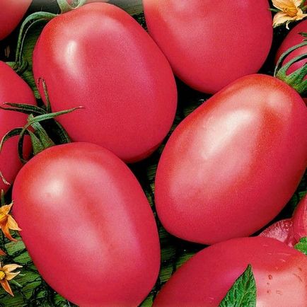 Tomato de barao descriere a gradului, caracteristici, video
