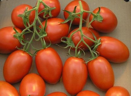 Tomato de barao descriere a gradului, caracteristici, video