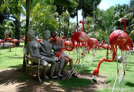 Tropical garden nong nuch - o experiență de neuitat