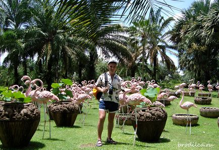 Tropical garden nong nuch - o experiență de neuitat