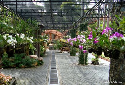 Tropical garden nong nuch - o experiență de neuitat