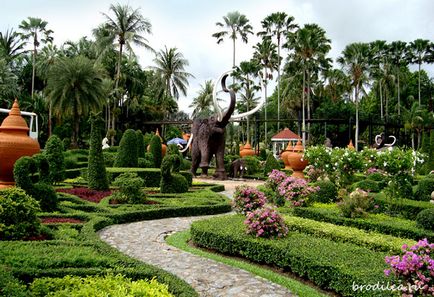 Тропічний сад Нонг Нуч - незабутні враження