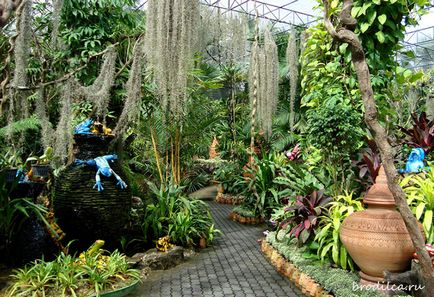 Tropical garden nong nuch - o experiență de neuitat