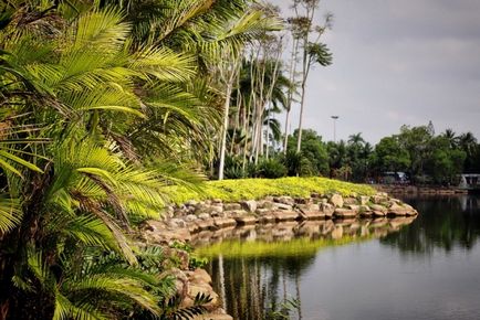 Grădină tropicală nong nuch în pattaya fotografie cum să obțineți