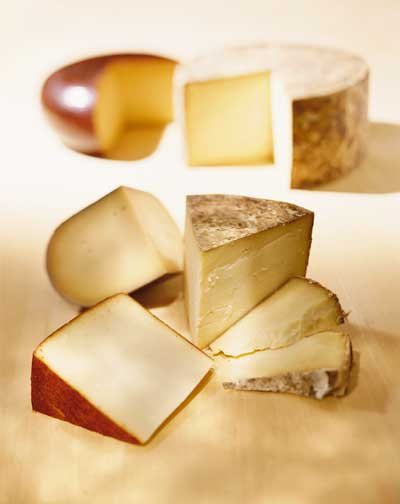 Дивовижні види сирів