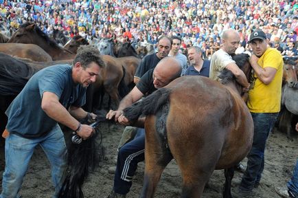 Lovak is megvan a szabadság! Fair iparosok - kézzel készített, kézzel készített