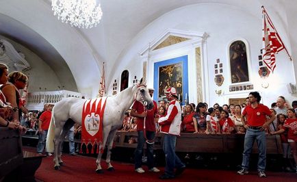 Lovak is megvan a szabadság! Fair iparosok - kézzel készített, kézzel készített (ló is van az ünnepeket!) Lovak is megvan a szabadság! Fair iparosok - kézzel készített, kézzel készített