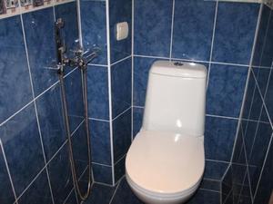 Toaletă cu bideu încorporat, pandantiv, bidet, duș igienic