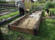 Creastă îngustă - o tehnologie unică de cultivare a legumelor pentru zonele mici