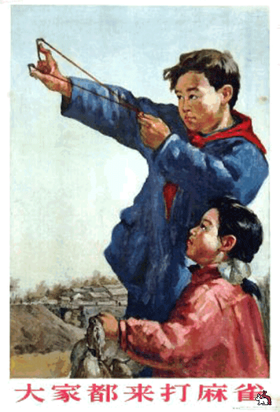 Marele război paserin (China, 1958-59g