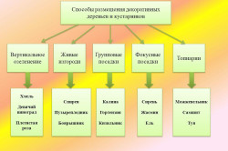 Вертикальне озеленення своїми руками