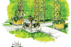 Вертикальне озеленення своїми руками на дачі або в городі (відео)