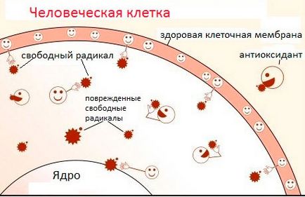 Вітамін е для шкіри обличчя, застосування в косметології