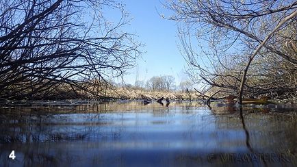 водяний ослик