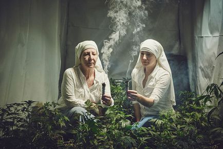 В ім'я святої марихуани черниці - вирощують коноплю на продаж